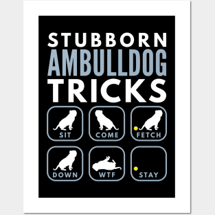 Stubborn AM Bulldog Tricks - Dog Training Posters and Art